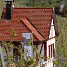 Querfeldwein